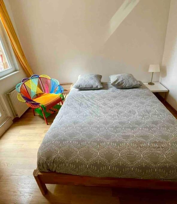 Appartement 2 Chambres Au Coeur De Strazburg Dış mekan fotoğraf
