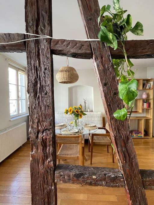 Appartement 2 Chambres Au Coeur De Strazburg Dış mekan fotoğraf