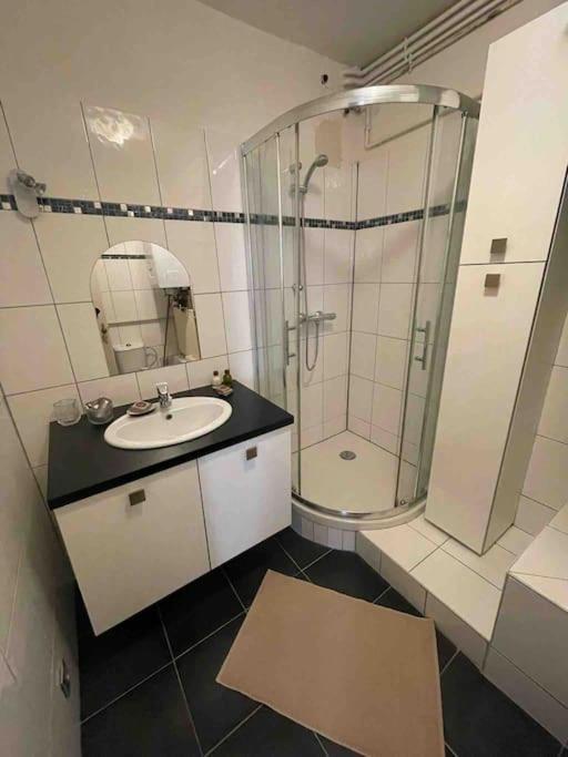 Appartement 2 Chambres Au Coeur De Strazburg Dış mekan fotoğraf