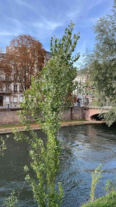 Appartement 2 Chambres Au Coeur De Strazburg Dış mekan fotoğraf